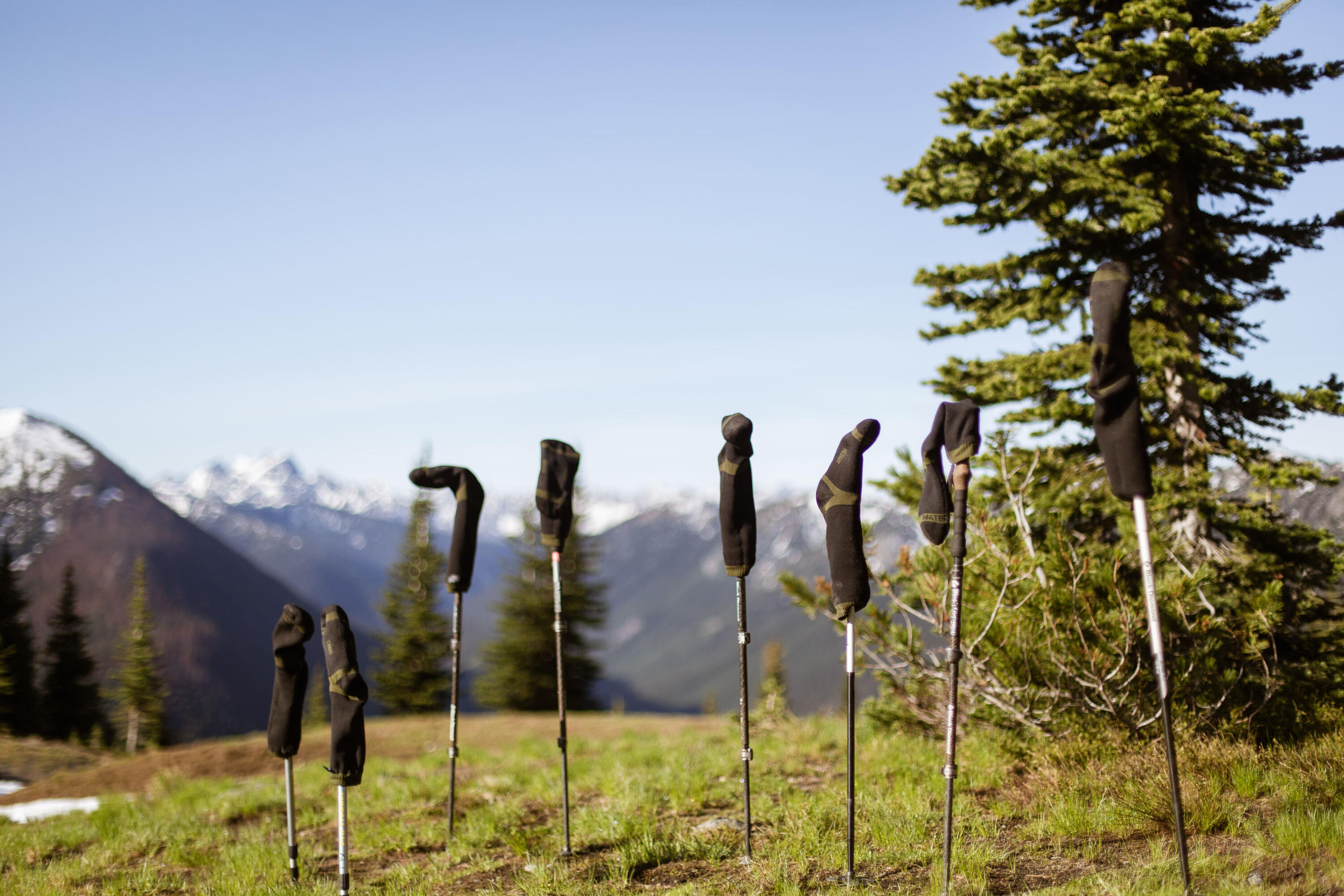 Over The Rivers and Into the Woods Book Thru-hiking socks hung on trekking poles to dry on the Pacific Crest Trail in the Cascade Mountains of Northern Washington